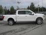 2019 white /gray Ford F-150 Limited SuperCrew 6.5-ft. Bed 4WD (1FTEW1EG6KF) with an 3.5L V6 TURBO engine, 6A transmission, located at 9530 Old Seward Highway, Anchorage, AK, 99515, (907) 349-3343, 61.134140, -149.865570 - 2019 Ford F150 Limited come take a test drive, - Photo#3