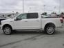 2019 white /gray Ford F-150 Limited SuperCrew 6.5-ft. Bed 4WD (1FTEW1EG6KF) with an 3.5L V6 TURBO engine, 6A transmission, located at 9530 Old Seward Highway, Anchorage, AK, 99515, (907) 349-3343, 61.134140, -149.865570 - 2019 Ford F150 Limited come take a test drive, - Photo#5
