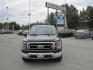 2022 blue /gray Ford F-150 XLT SuperCrew 6.5-ft. Bed 4WD (1FTEW1EP7NK) with an 2.7L V6 DOHC 24V engine, 6A transmission, located at 9530 Old Seward Highway, Anchorage, AK, 99515, (907) 349-3343, 61.134140, -149.865570 - Low miles on this 2022 Ford F150 XLT, come take a test drive. - Photo#1