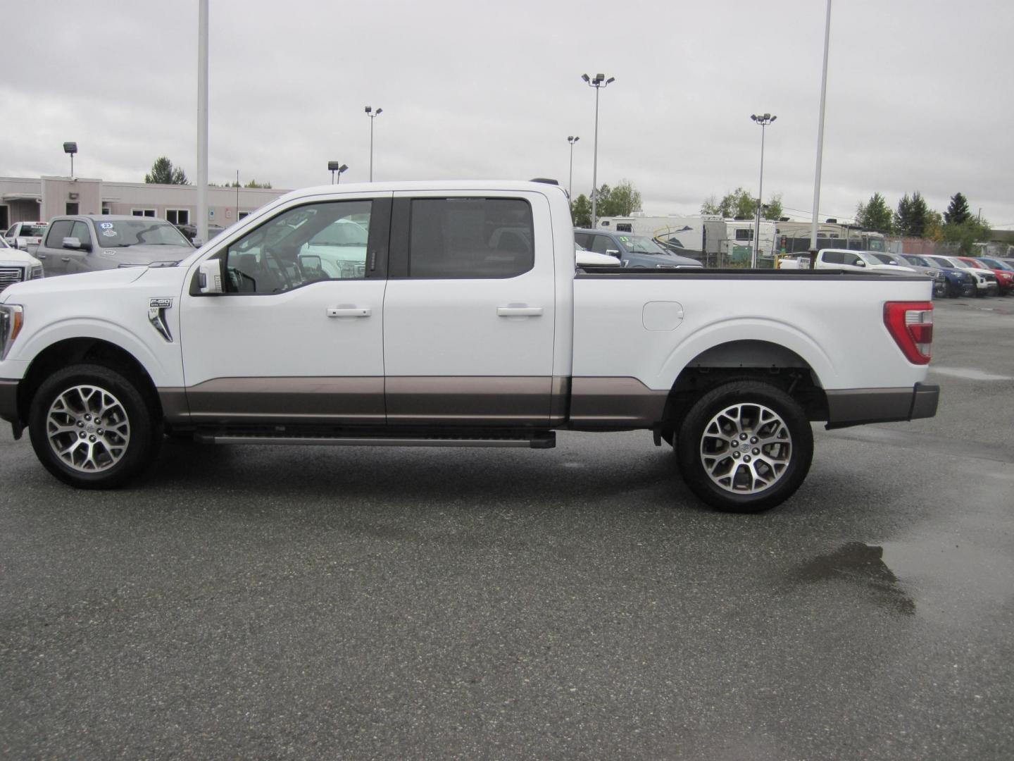 2023 white /brown Ford F-150 King Ranch SuperCrew 4WD (1FTFW1E52PF) with an 5.0L V8 OHV 16V engine, 6A transmission, located at 9530 Old Seward Highway, Anchorage, AK, 99515, (907) 349-3343, 61.134140, -149.865570 - Photo#6