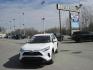 2024 white /gray Toyota RAV4 LE AWD (2T3G1RFV6RC) with an 2.5L L4 DOHC 16V engine, 8A transmission, located at 9530 Old Seward Highway, Anchorage, AK, 99515, (907) 349-3343, 61.134140, -149.865570 - Low Miles on this 2024 Toyota Rav4 come take a test drive. - Photo#1