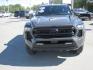 2024 gray /black Toyota Tacoma Double Cab 4WD (3TMLB5JN4RM) with an 2.4L L4 DOHC 16V engine, 6A transmission, located at 9530 Old Seward Highway, Anchorage, AK, 99515, (907) 349-3343, 61.134140, -149.865570 - LOW MILES ON THIS 2024 TOYOTAT TACOMA DOUBLE CAB, COME TAKE A TEST DRIVE- Photo#2