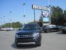 2024 blue /black Ford Expedition MAX Limited 4WD (1FMJK2A81RE) with an 3.5L V6 DOHC 24V FFV engine, 6A transmission, located at 9530 Old Seward Highway, Anchorage, AK, 99515, (907) 349-3343, 61.134140, -149.865570 - Nice 2024 Expedition Max Limited come take a test drive- Photo#0