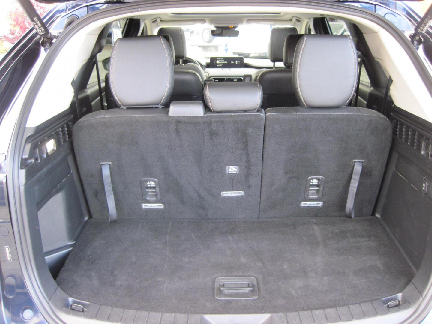 2024 blue /BLACK Mazda CX-90 Premium (JM3KKDHD6R1) with an 3.3L V6 DOHC 24V HYBRID engine, 8A transmission, located at 9530 Old Seward Highway, Anchorage, AK, 99515, (907) 349-3343, 61.134140, -149.865570 - NICE 2024 MAZDA CX-90 PREMIUM AWD COME TAKE A TEST DRIVE- Photo#6